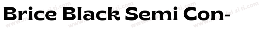 Brice Black Semi Con字体转换